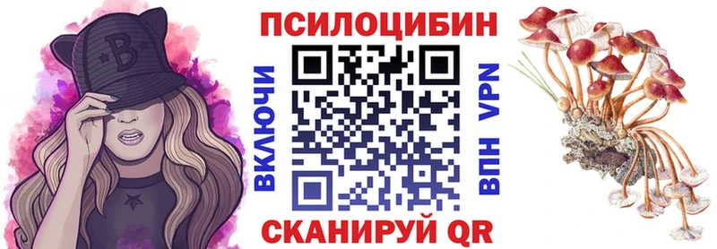 Псилоцибиновые грибы Cubensis  магазин продажи наркотиков  Трёхгорный 